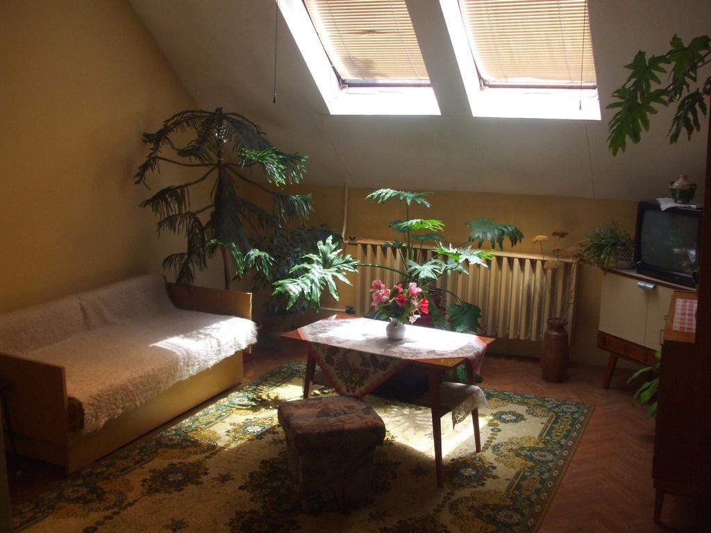 Nagy Haz Apartment Szabadkigyos Room photo