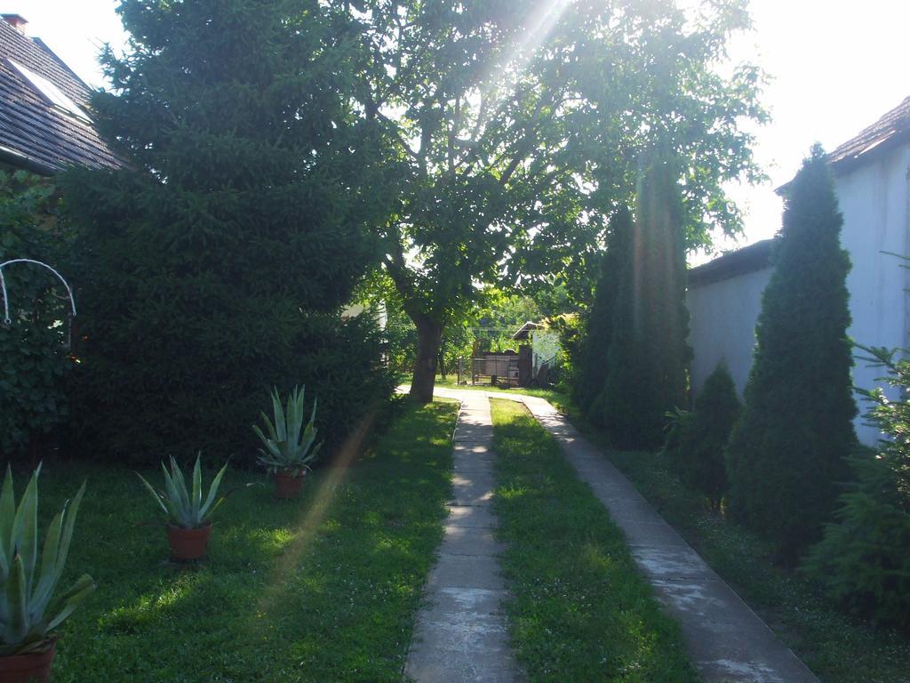 Nagy Haz Apartment Szabadkigyos Exterior photo